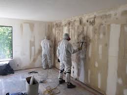 Mold Removal & Remediation